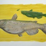 Available- Channel Catfish
